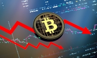 天齐锂业：预计一季度盈利8200万元至1
